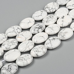 Natürliche Howlith Perlen Stränge, Oval, 25x18x8 mm, Bohrung: 1.5 mm, ca. 16 Stk. / Strang, 15.75 Zoll (40 cm)