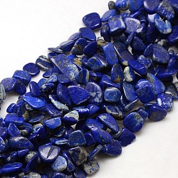 Natural Lapis Lazuli Beads Strands, Chips, 10~18x8~15x3~8mm, Hole: 1mm, about: 40~60pcs/strand, 15~16 inch