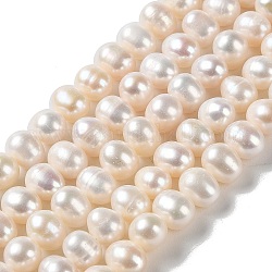 Fili di perle di perle d'acqua dolce coltivate naturali, patata, grado 3a++, papayawhip, 8~9x7~8mm, Foro: 0.7 mm, circa 49pcs/filo, 14.21'' (36.1 cm)