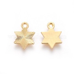 ラックメッキ真鍮チャーム  ユダヤ人のために  ダビデの星  テクスチャ  ゴールドカラー  12x8.8x1mm  穴：1.5mm