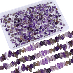 SUNNYCLUE 4 Strands Natural Amethyst Chip Beads Strands, Dyed, 5~8x5~8mm, Hole: 1mm, about 31.5 inch