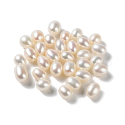 Natürlichen Perlen, kultivierte Süßwasserperle, ungebohrt / kein Loch, Oval, Klasse 6a+, Blumenweiß, 4~5x3.8~4.5 mm