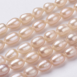 Fili di perle di perle d'acqua dolce coltivate naturali, riso, sabbia marrone, 7~10x6~7mm, Foro: 0.5 mm, circa 39~40pcs/filo, 14 pollice