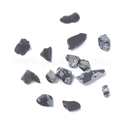 Chips d'obsidienne flocon de neige naturel, 3~11x1~7mm, environ 10000 pcs/500 g