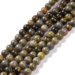Chapelets de perles de jaspe dendritique naturelle, jaspe de chohua, ronde, couleur mixte, 8mm, Trou: 1mm, Environ 49 pcs/chapelet, 15.4 pouce