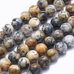 Natürliche schwarze Moos Jaspis Perlen Stränge, Runde, 8 mm, Bohrung: 1 mm, ca. 50 Stk. / Strang, 15.9 Zoll (40.5 cm)