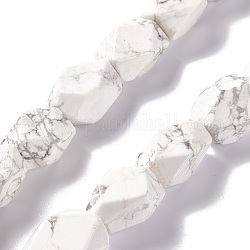 Natural Howlite Beads Strands, Faceted, Rhombus, 13~19x9~17x9~17mm, Hole: 1mm, about 22pcs/strand, 15.83''~16.14''(40.2~41cm)