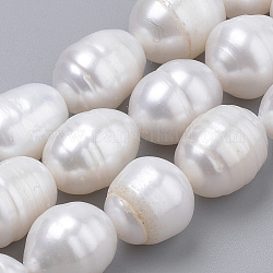 Fili di perle di perle d'acqua dolce coltivate naturali, riso, colore conchiglia, 10~14x9~10mm, Foro: 0.5 mm, circa 14pcs/filo, 6.69 pollice (17 cm)