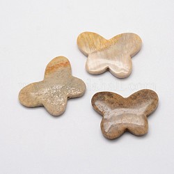 Perles de corail fossile naturel, papillon, 29~30x38~39x5~6mm, Trou: 2mm