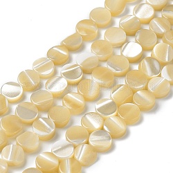 Brins de perles de coquillages naturels de troca, plat rond, verge d'or, 6x2.3mm, Trou: 0.5mm, Environ 66 pcs/chapelet, 15.35'' (39 cm)