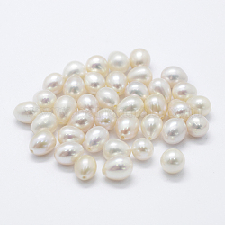 Natur kultivierten Süßwasser Perlen, Träne, Hälfte gebohrt, Blumenweiß, 5~7x8~10 mm, Bohrung: 0.8 mm
