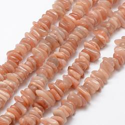Chapelets de perles de sunstone naturelle naturelles, pépites, 6~17x2~5mm, Trou: 1mm, 15.3 pouce (39 cm)