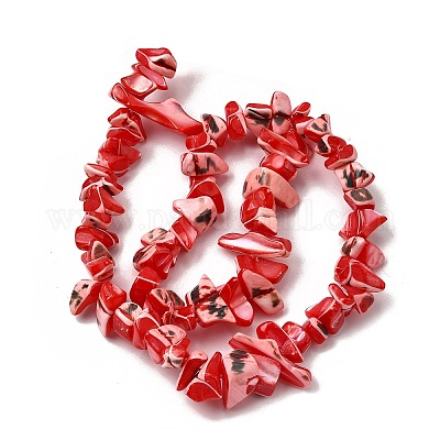 Нити бусин из натуральных трохоидных/трохус ракушек SHEL-B003-02I-1