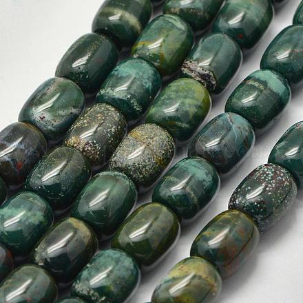 Natural Bloodstone Beads Strands G-K208-40B-1