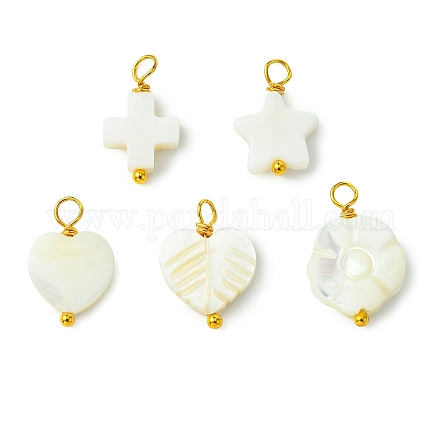 5шт 5 стиля подвески из натуральных ракушек PALLOY-JF03071-1