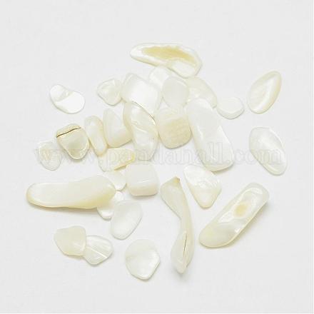 Perles de coquillage blanc naturel BSHE-G003-02-1