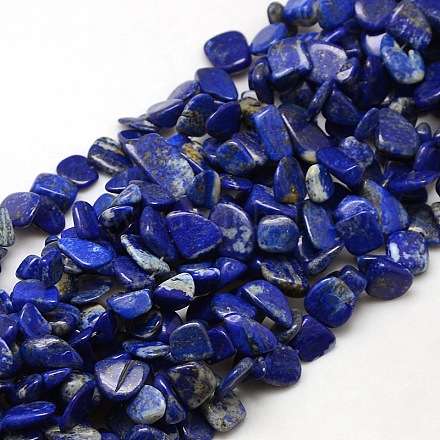 Natural Lapis Lazuli Beads Strands G-P034-03-1
