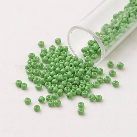 11/0 Grade A Baking Paint Glass Seed Beads X-SEED-N001-A-1026-1
