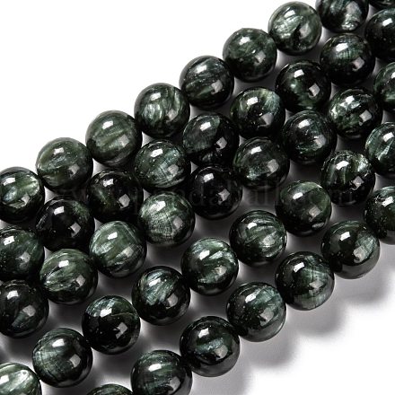 Perles naturelles SERAPHINITE brins G-E557-22C-1