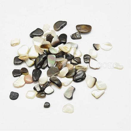 Natural Black Lip Shell Beads BSHE-G003-01-1