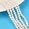 Natural Cultured Freshwater Pearl Beads Strands, Two Sides Polished, Grade 4A, Seashell Color, 4~5mm, Hole: 0.7mm, about 70~71pcs/strand, 33~33.3cm
