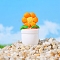 Resin Flower Pot Model, Micro Landscape Home Dollhouse Accessories, Pretending Prop Decorations, Orange, 36x22mm