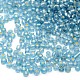 8/0 Glass Seed Beads SSDB3mm23-1