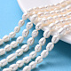 Natural Cultured Freshwater Pearl Beads Strands PEAR-N012-06D-1