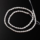 Natural Cultured Freshwater Pearl Oval Beads Strands PEAR-E002-12-2