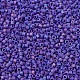 MIYUKI Delica Beads SEED-JP0008-DB0880-3