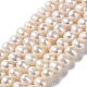 Natural Cultured Freshwater Pearl Beads Strands PEAR-E018-05-1