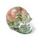 Perles de crâne de fluorite naturelle G-P490-02-2