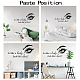 PVC Quotes Wall Sticker DIY-WH0200-092-3