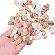 CHGCRAFT about 200pcs Mixed Ocean Sea Shells Natural Seashells Spiral Shell Beads for Fish Tank BSHE-PH0001-11-3