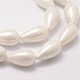 Rainbow Plated Shell Pearl Beads Strands BSHE-L027-01-10x18-3