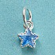 925 Sterling Silver Charms STER-G035-01C-03-1