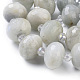 Chapelets de perles en labradorite naturelle  G-K294-B07-2