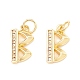 Rack Plating Eco-friendly Brass Micro Pave Clear Cubic Zirconia Charms KK-D072-01G-B-NR-1