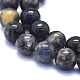 Natural Iolite Beads Strands G-E561-16-10mm-3