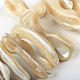 Chapelets de perles de coquille de trochid / trochus coquille SSHEL-S247-02-2