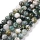 Chapelets de perles en agate d'arbre naturelle G-K194-10mm-02-2