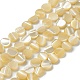 Brins de perles de coquillages naturels de troca BSHE-P033-02-1