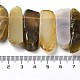 Chapelets de perles en agate naturelle du Botswana G-L551B-15-4