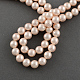 Chapelets de perles en coquille BSHE-R146-16mm-01-2