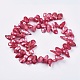 Fili di perle di keshi di perle barocche naturali BSHE-P026-32-14
