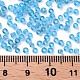 Perles de rocaille en verre SEED-A004-2mm-3-3