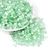 Drawbench Style Glass Seed Beads SEED-N008-10G