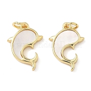 Подвески из латуни из натуральных ракушек KK-L239-029G