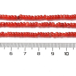 Нити бусин из натуральных пресноводных ракушек&nbsp;SHEL-P017-01B-07