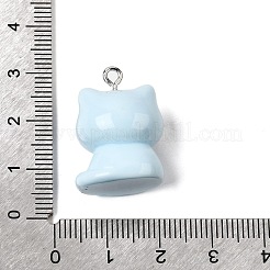 Подвески из непрозрачной смолы&nbsp;RESI-P051-04P-M